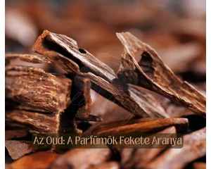 Az Oud: A Parfümök Fekete Aranya