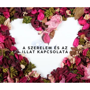 A Szerelem És Az Illat Kapcsolata